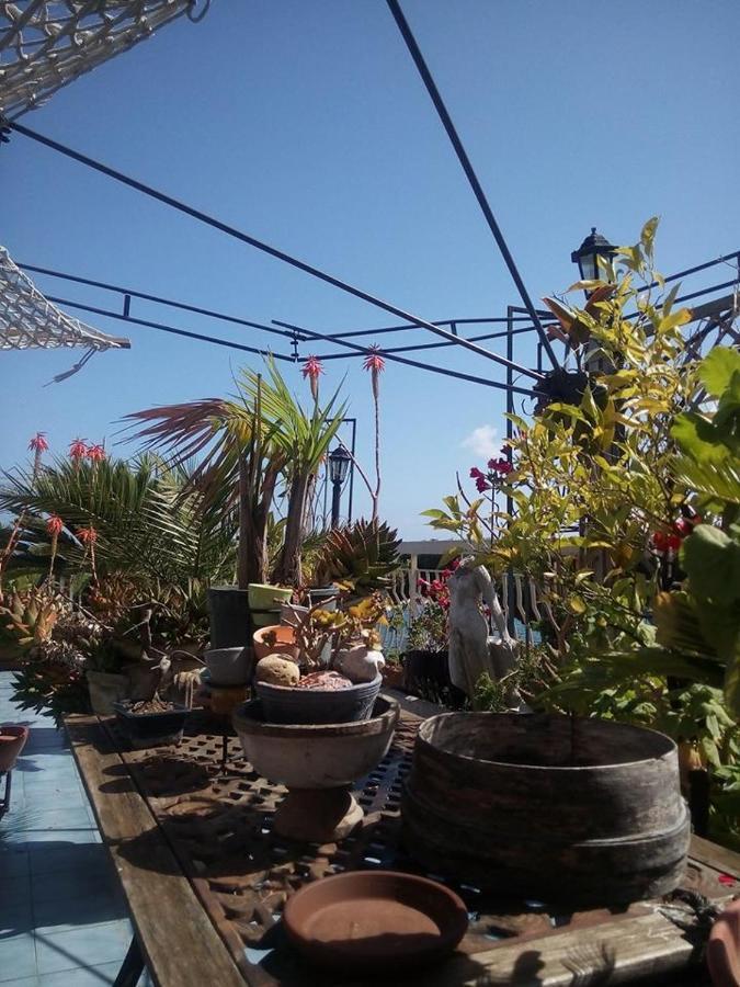 Terrazza Incanto 福尔米亚 外观 照片