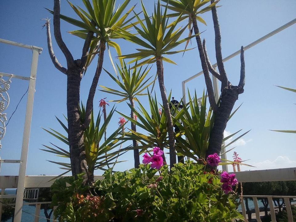 Terrazza Incanto 福尔米亚 外观 照片